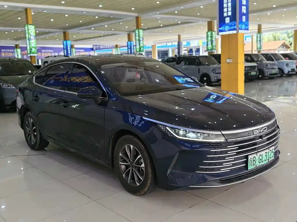 BYD Destroyer 05 — фото 2