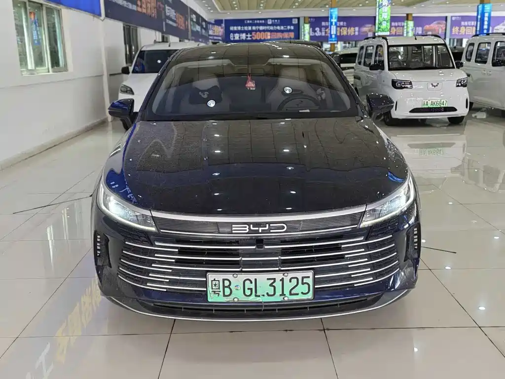 BYD Destroyer 05 — фото 3