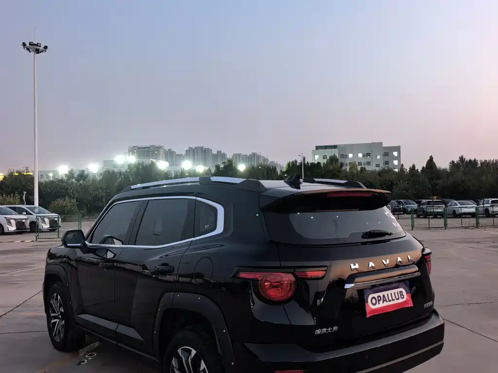 Haval Big Dog PLUS — фото 5