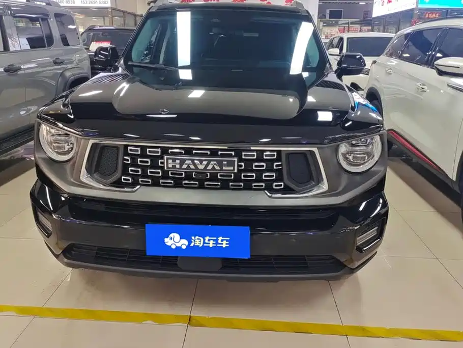 Haval Big Dog PLUS — фото 2