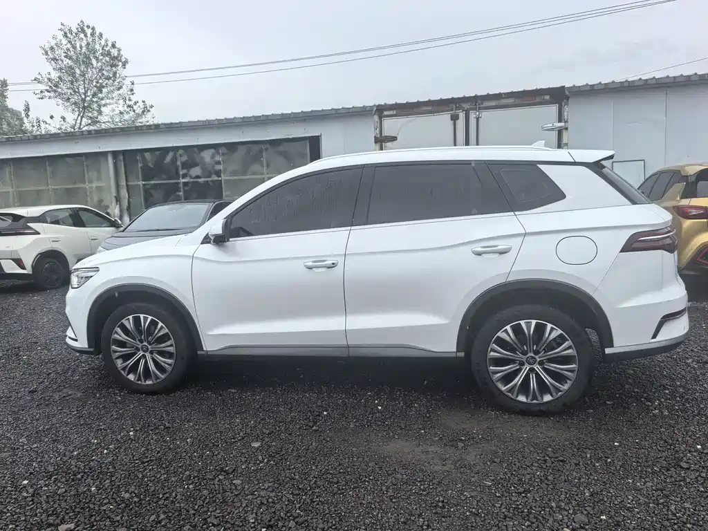 BYD Pro New Energy — фото 4
