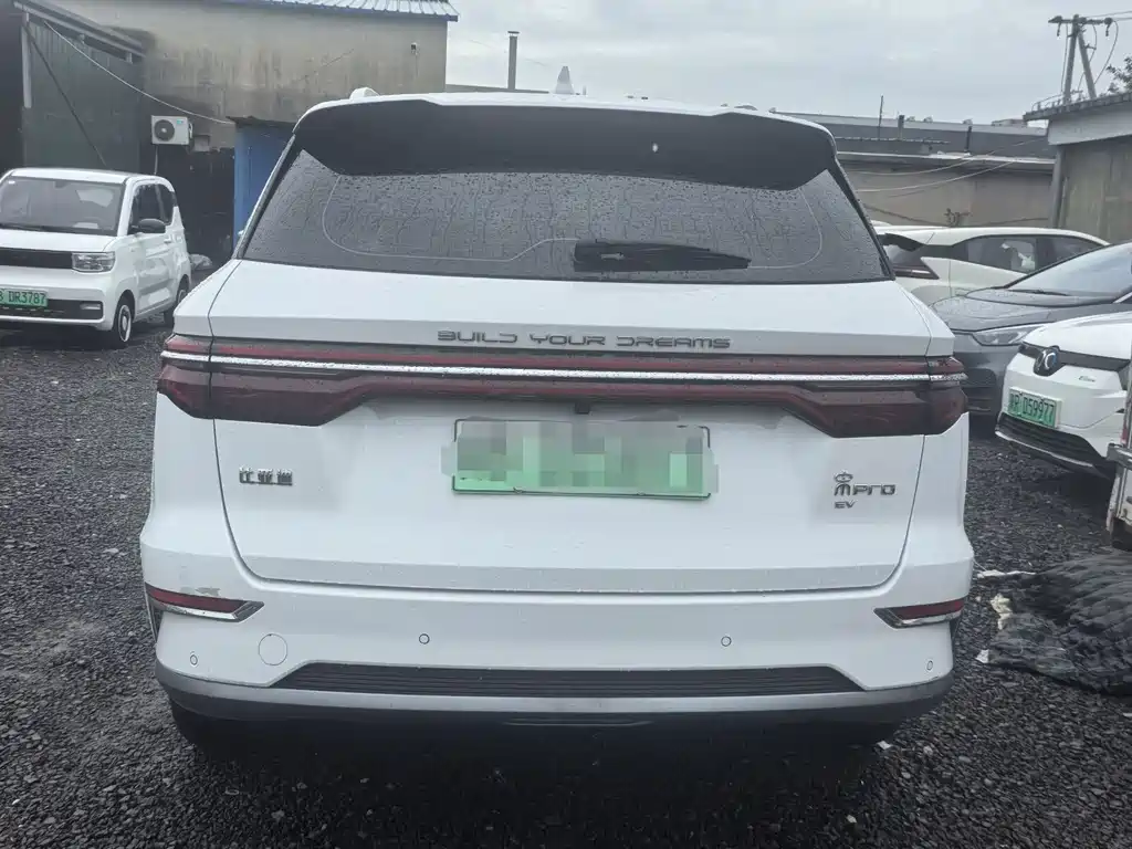 BYD Pro New Energy — фото 7