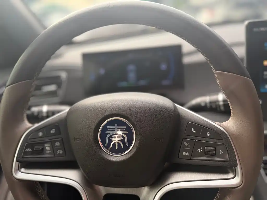 BYD Qin PLUS — фото 18