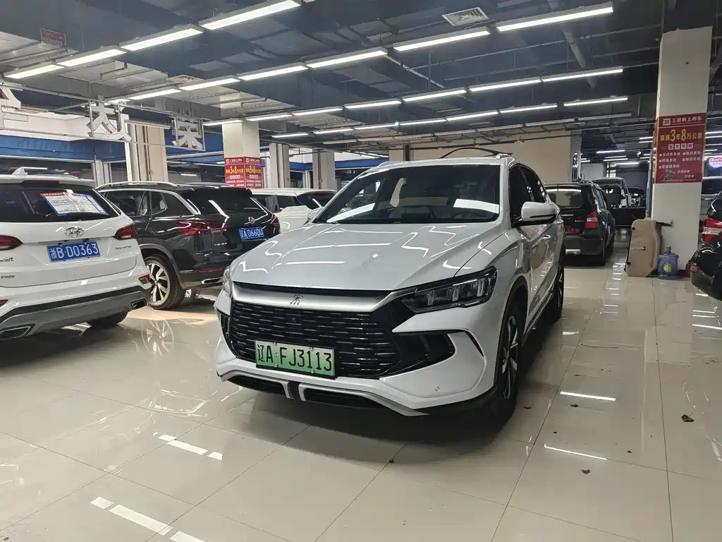 BYD Pro New Energy — фото 2