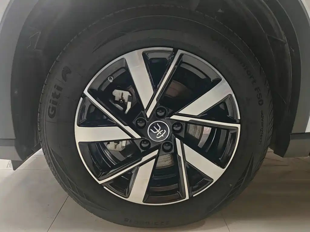 BYD Pro New Energy — фото 14