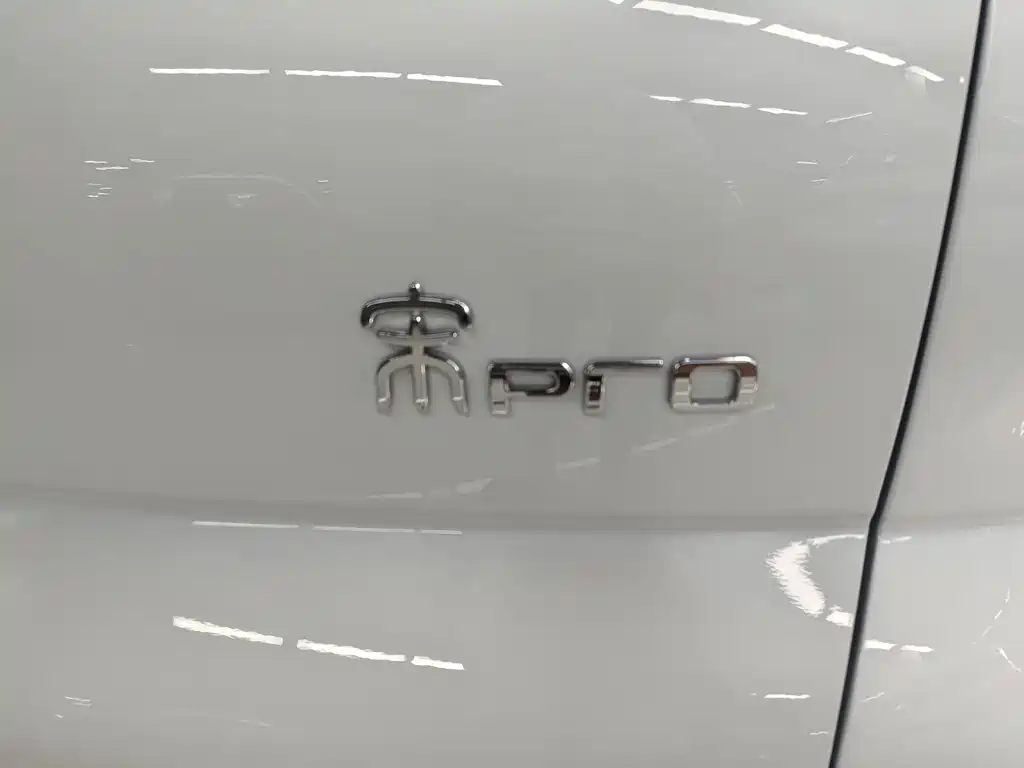 BYD Pro New Energy — фото 18