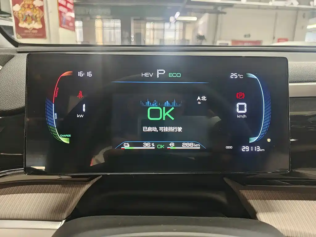 BYD Pro New Energy — фото 20