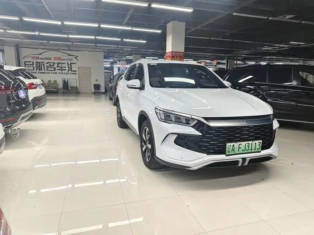 BYD Pro New Energy — фото 3
