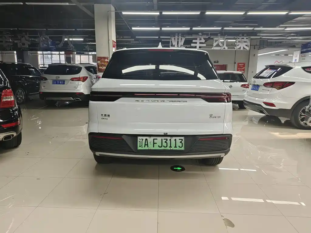 BYD Pro New Energy — фото 4