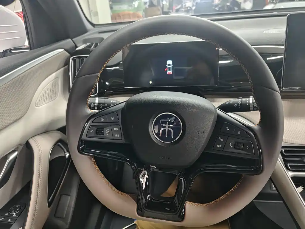 BYD Pro New Energy — фото 10
