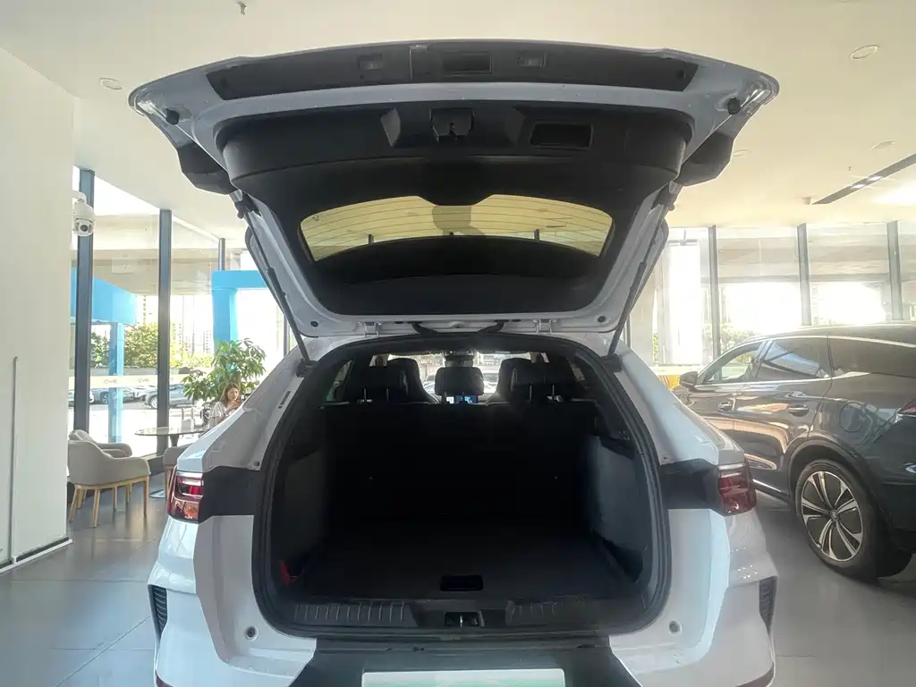 BYD PLUS New Energy — фото 14