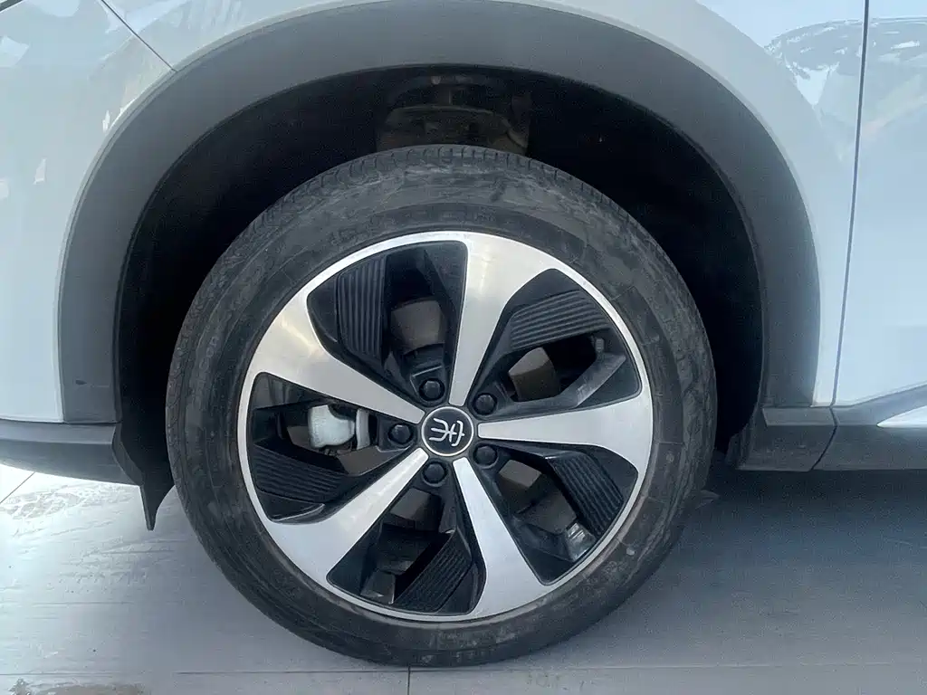 BYD PLUS New Energy — фото 3