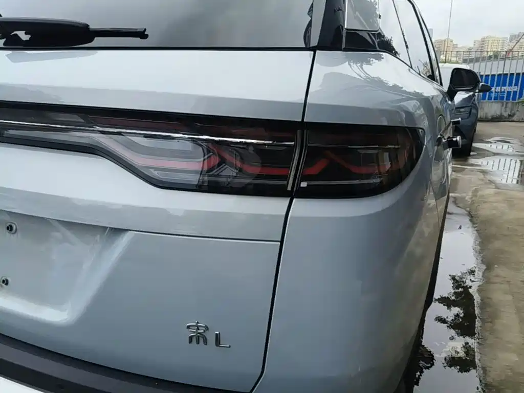BYD L DM-i — фото 8