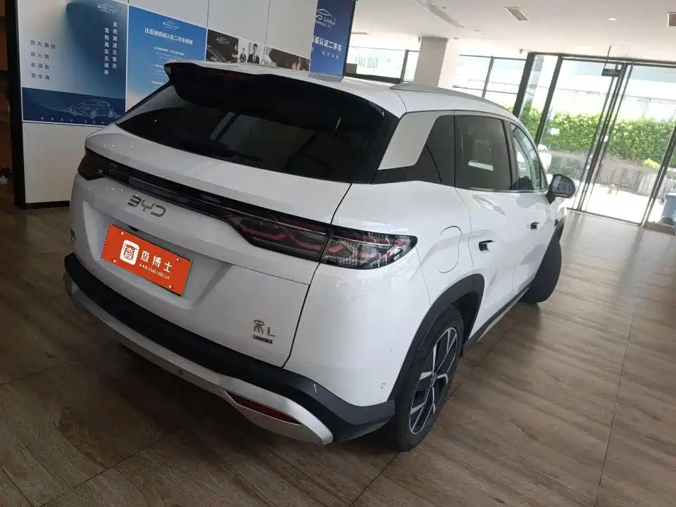 BYD L DM-i — фото 4