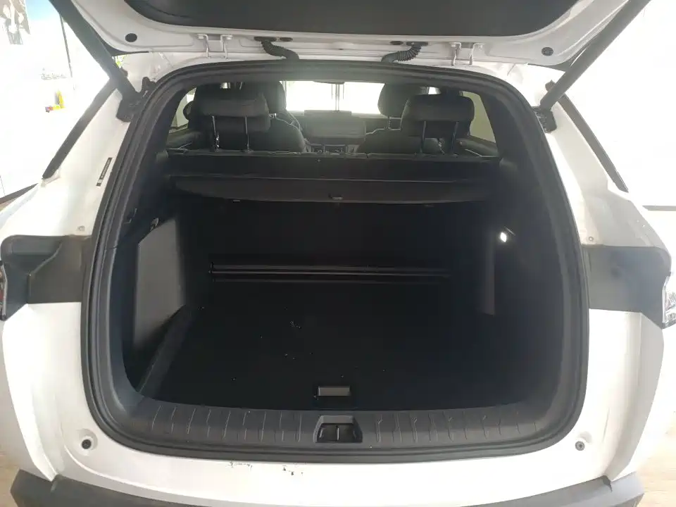 BYD L DM-i — фото 9