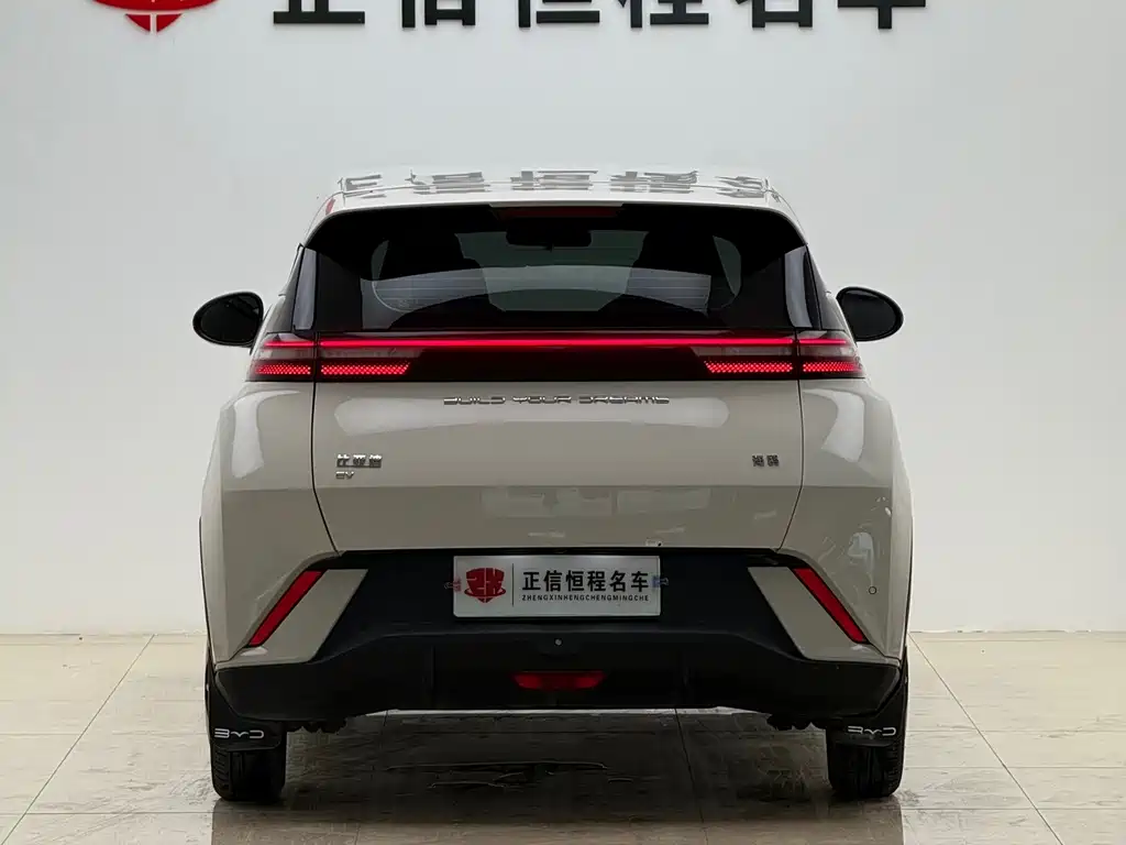 BYD Seagull — фото 23