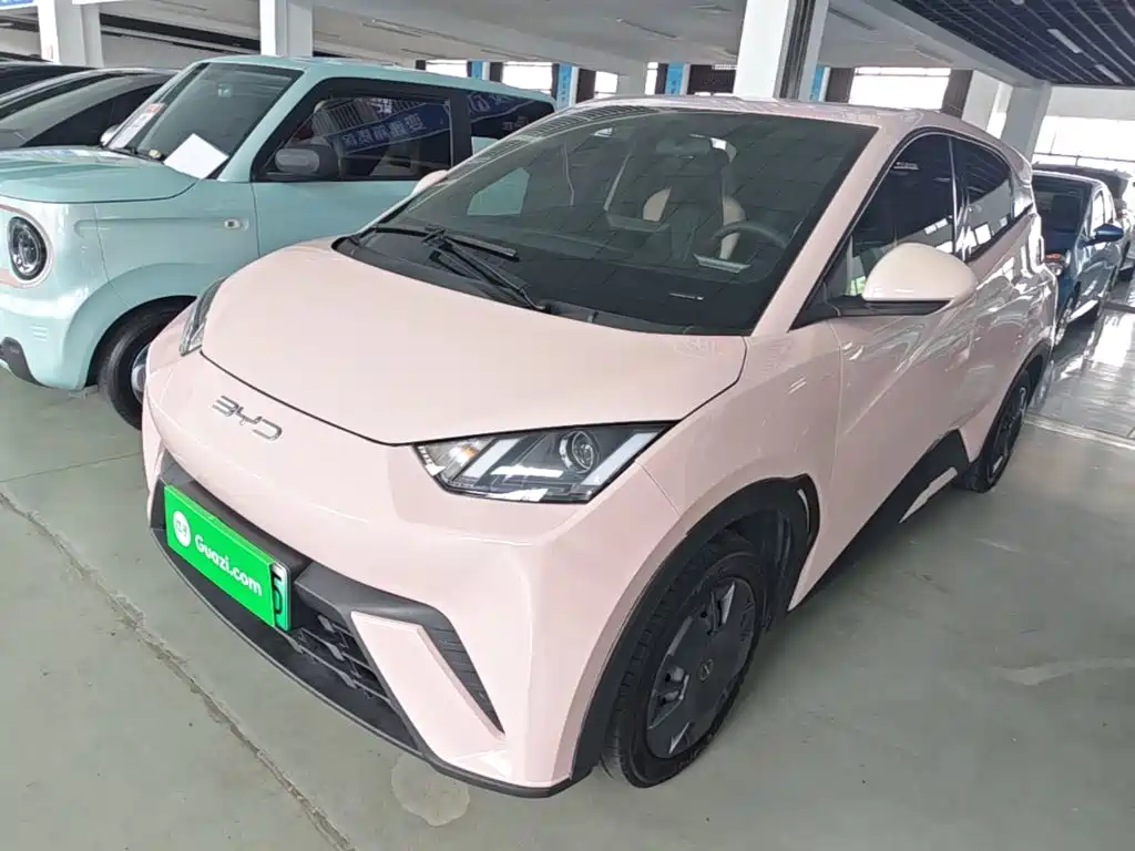 BYD Seagull