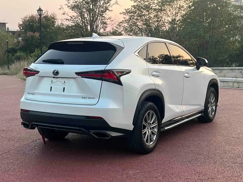 Lexus NX — фото 6