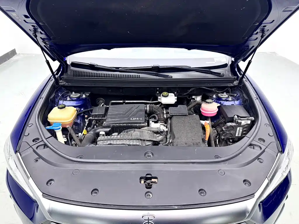 BYD Pro New Energy — фото 9