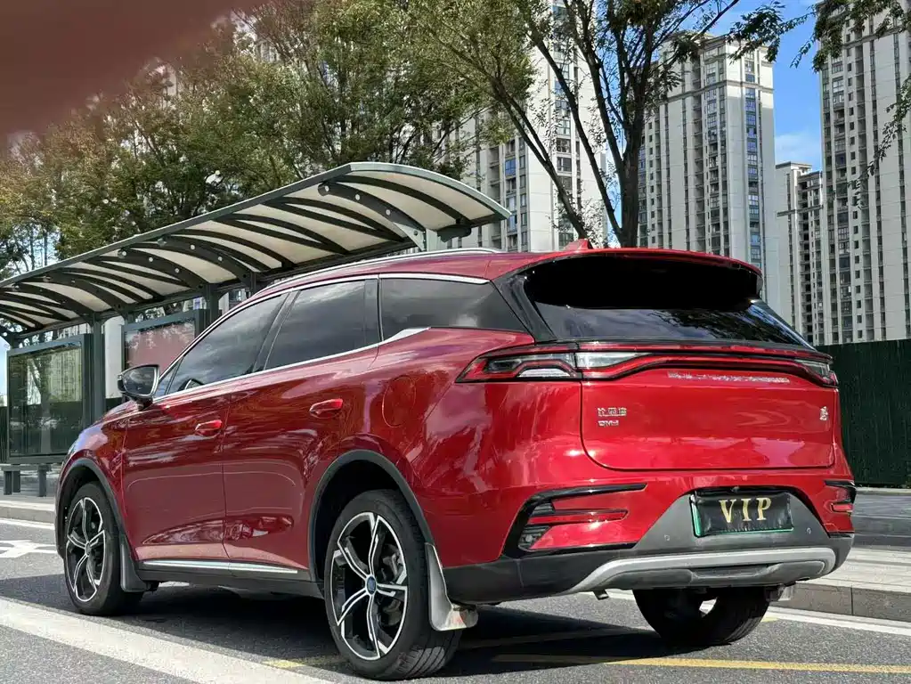 BYD Tang New Energy — фото 14