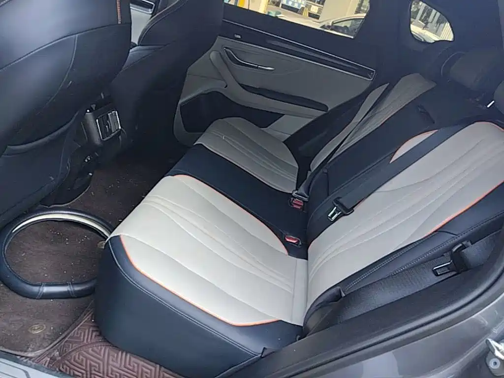 BYD PLUS New Energy — фото 17