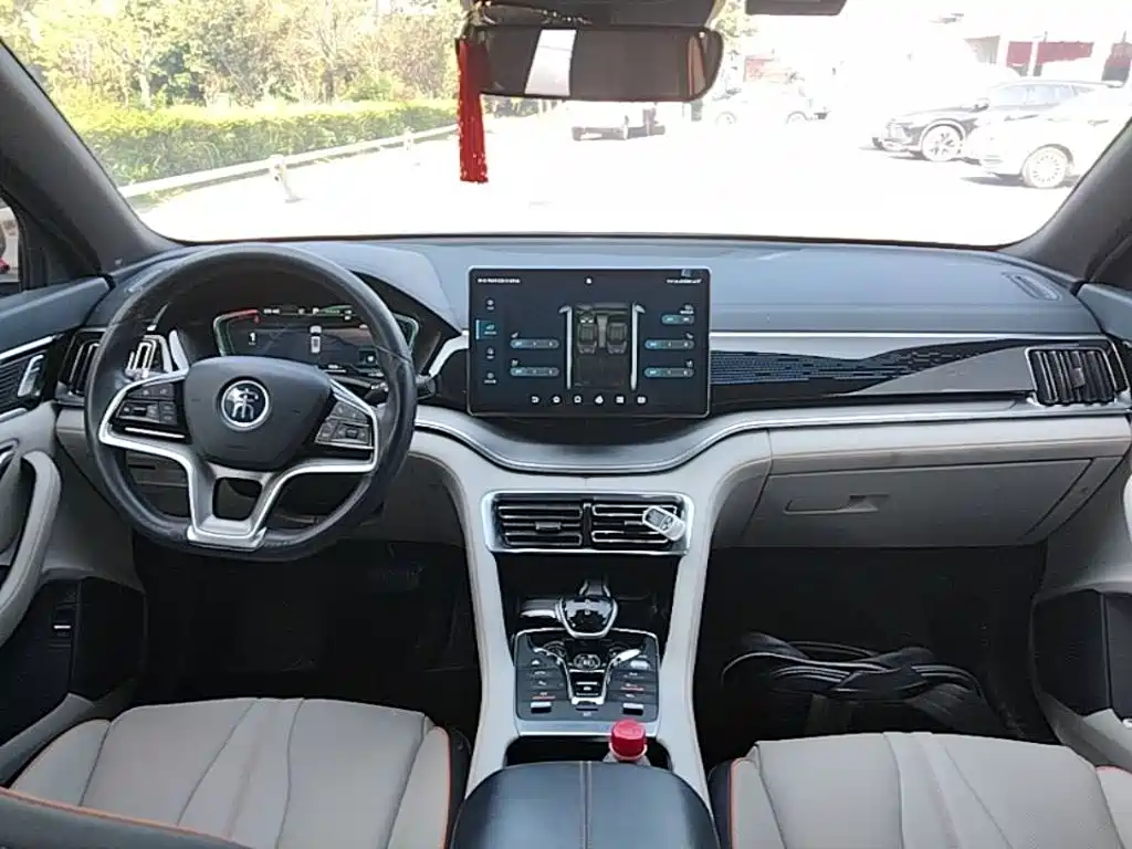 BYD PLUS New Energy — фото 10