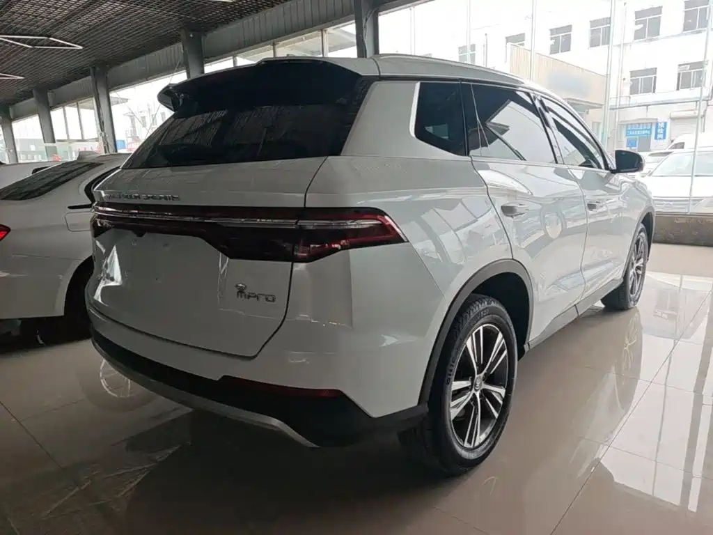 BYD Pro — фото 7