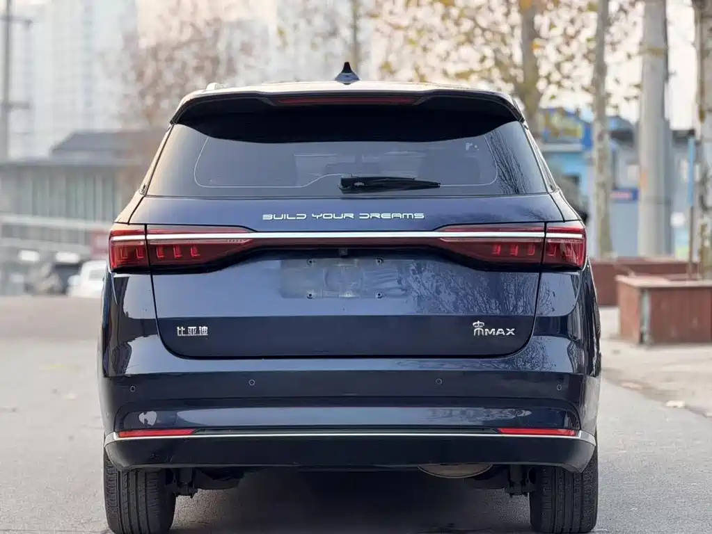 BYD MAX — фото 5