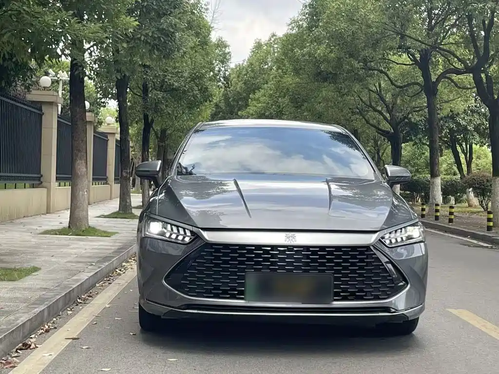 BYD Qin PLUS — фото 10