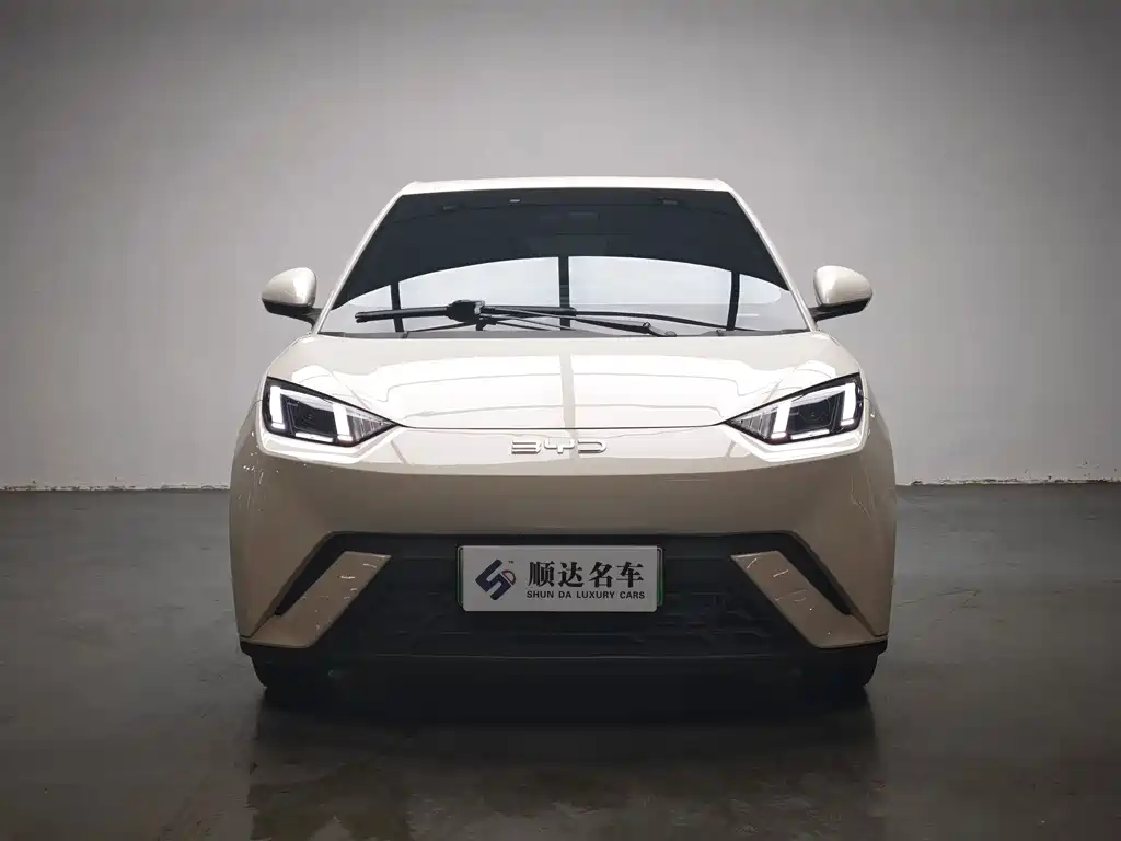 BYD Seagull — фото 2