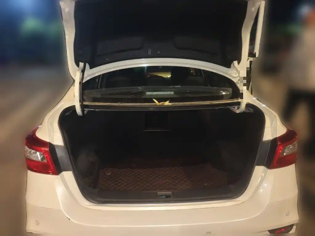 Nissan Sylphy — фото 20