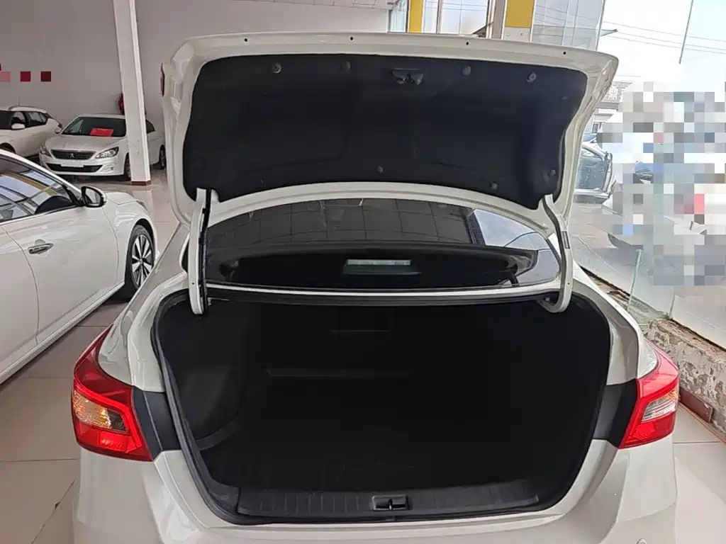 Nissan Sylphy — фото 18