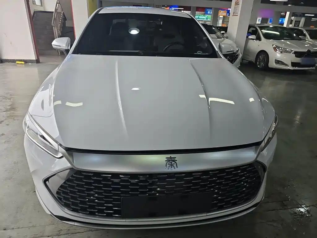 BYD Qin PLUS — фото 3