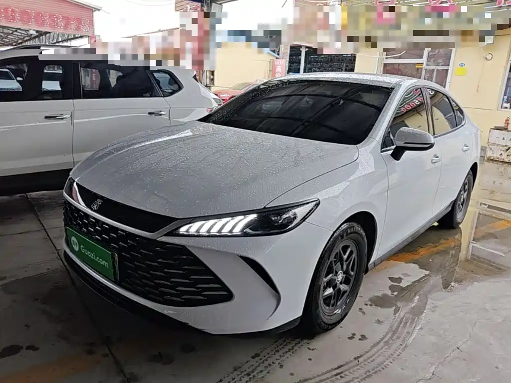 BYD Qin PLUS — фото 2