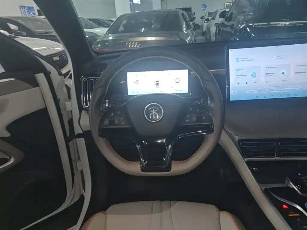 BYD Pro New Energy — фото 11