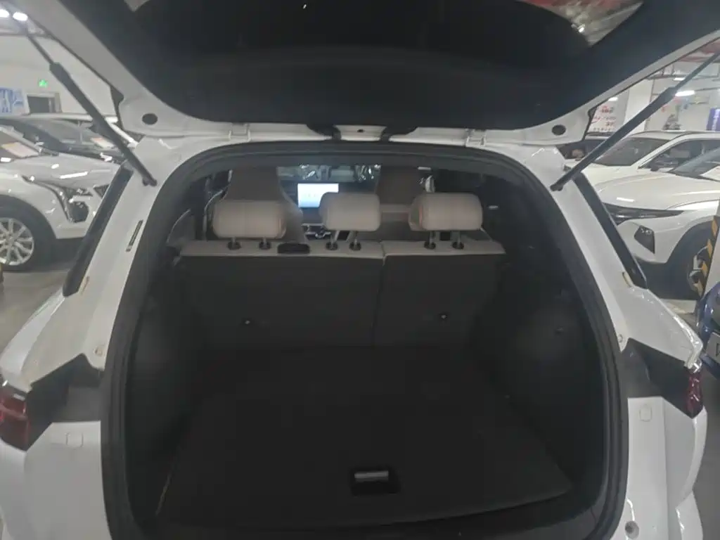 BYD Pro New Energy — фото 19