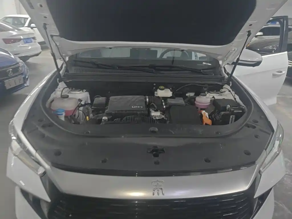 BYD Pro New Energy — фото 20