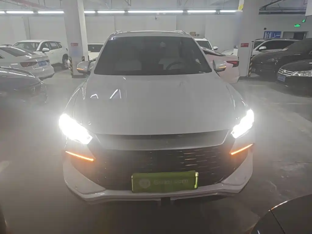 BYD Pro New Energy — фото 3