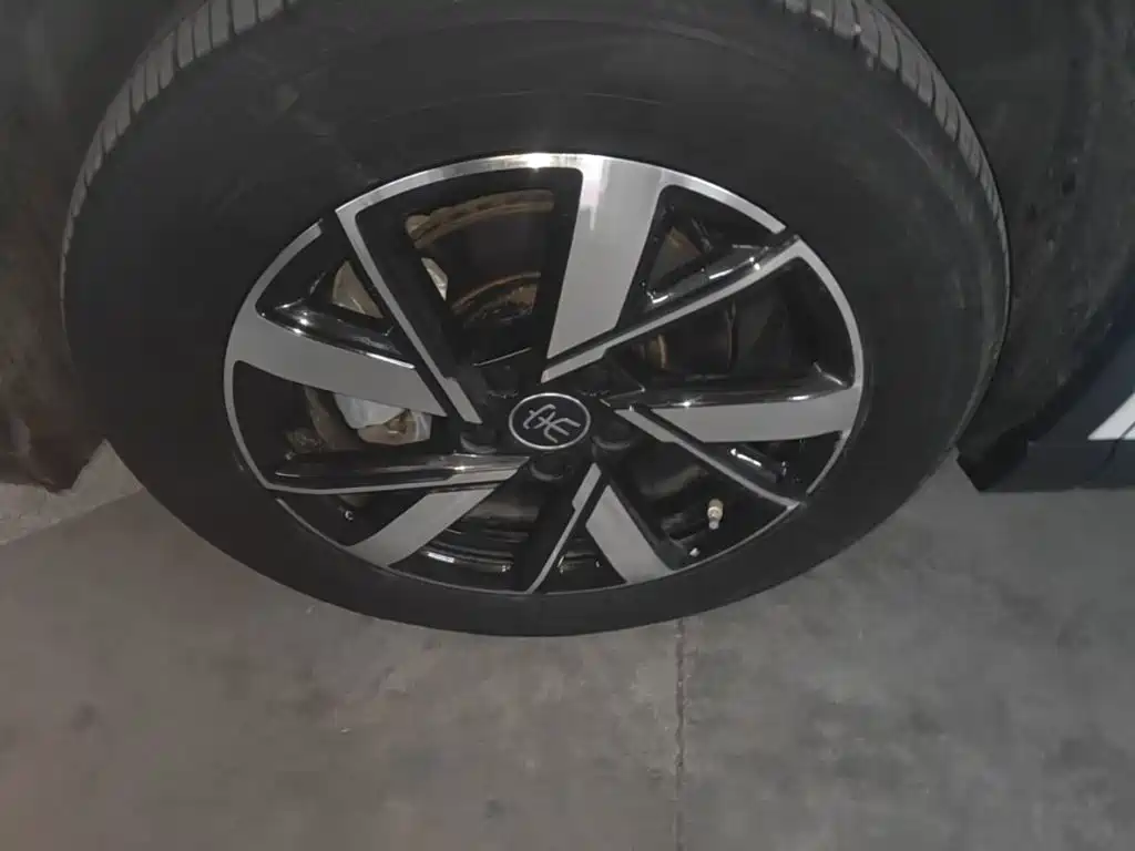 BYD Pro New Energy — фото 23