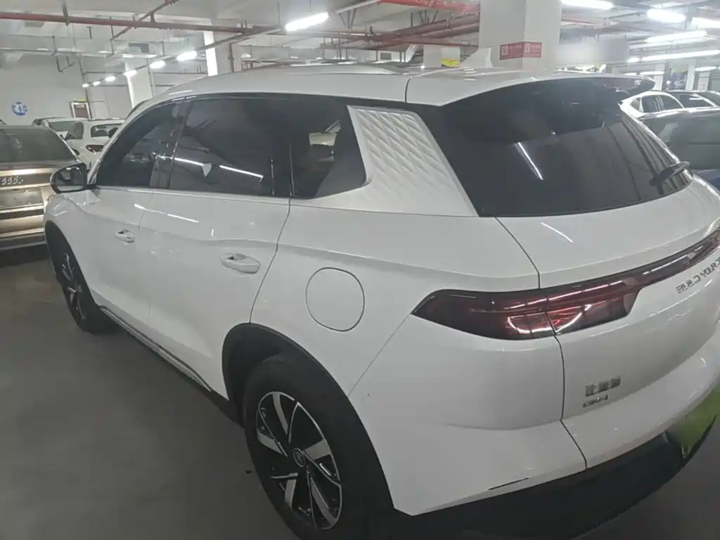 BYD Pro New Energy — фото 5