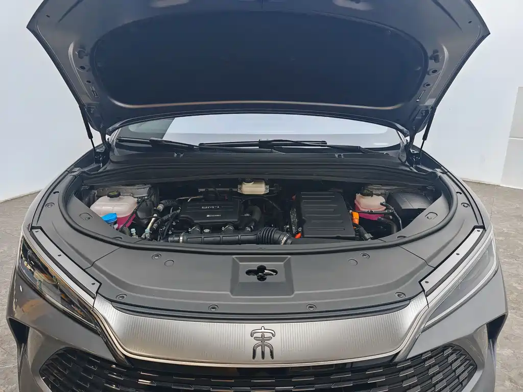 BYD L DM-i — фото 13