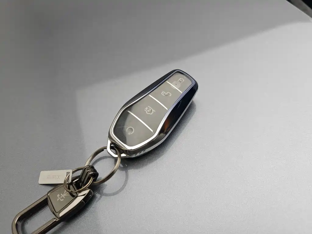 BYD L DM-i — фото 20