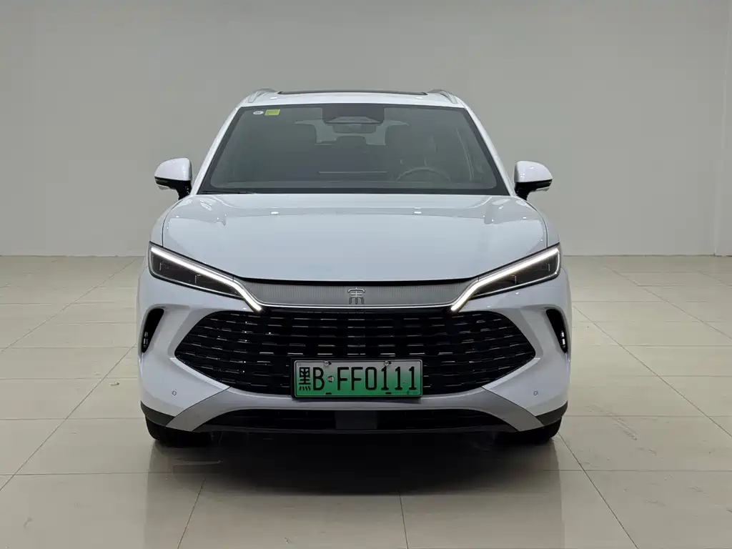 BYD L DM-i — фото 2