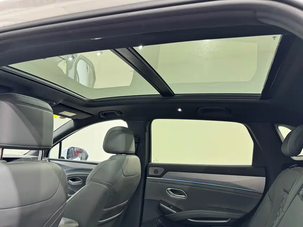 BYD L DM-i — фото 15