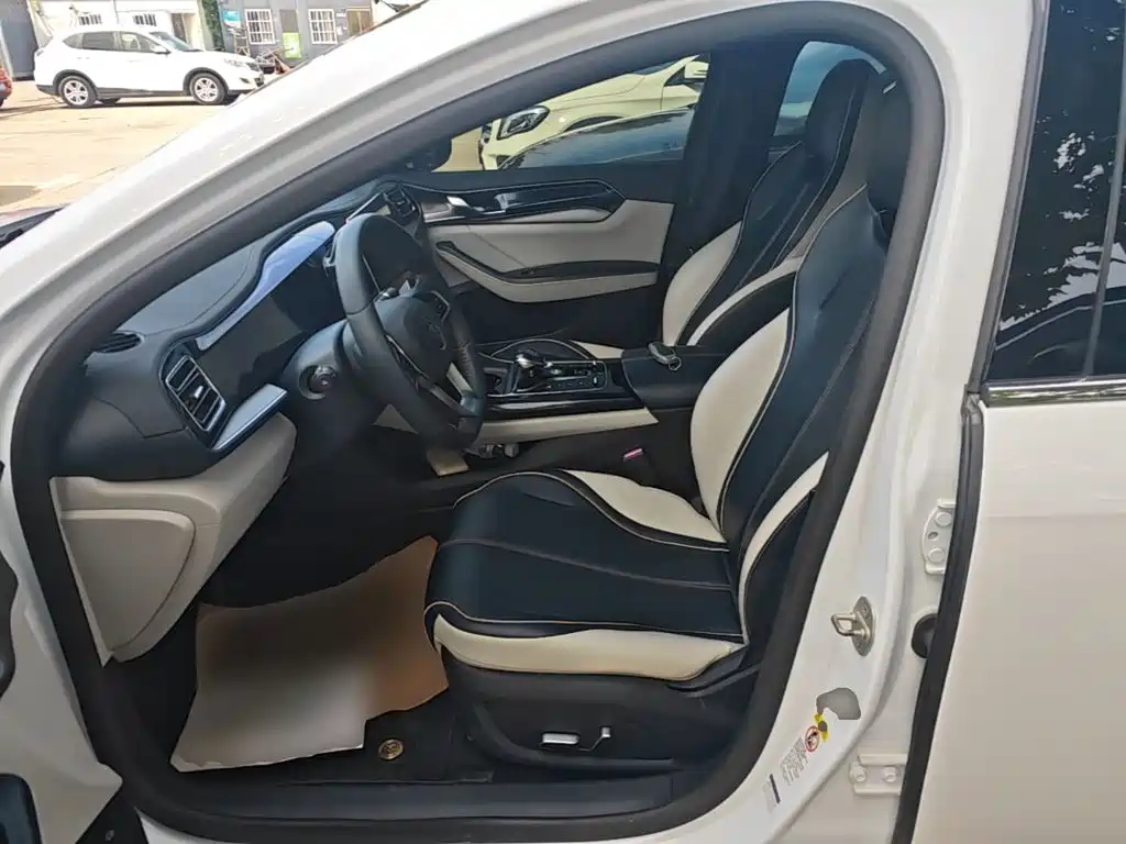 BYD Qin PLUS — фото 15
