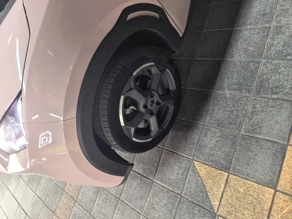 BYD Seagull — фото 23