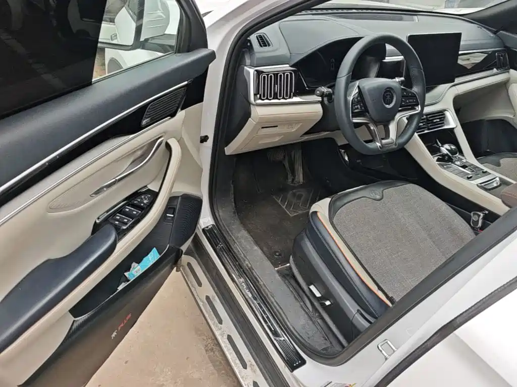 BYD PLUS New Energy — фото 16