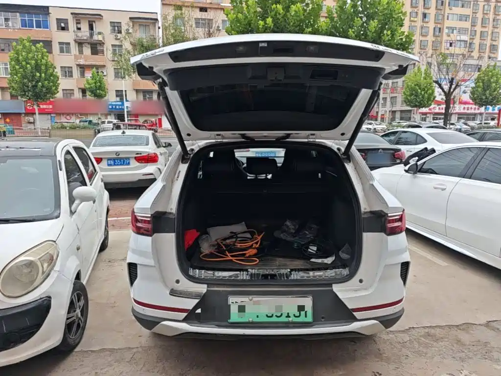 BYD PLUS New Energy — фото 19