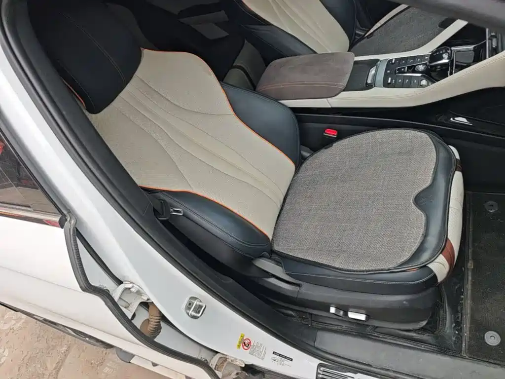 BYD PLUS New Energy — фото 25