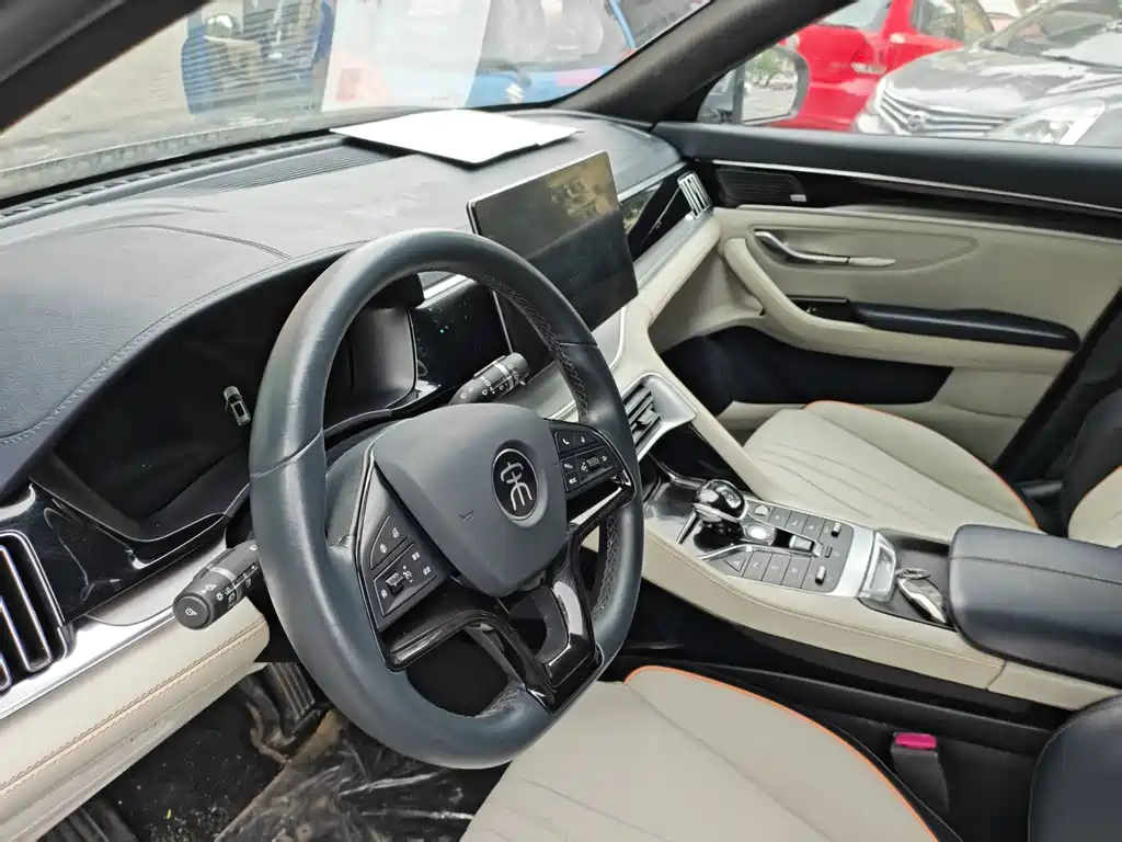 BYD PLUS New Energy — фото 4